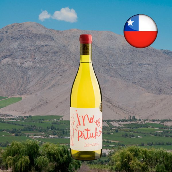 O vinho certo para cada momento