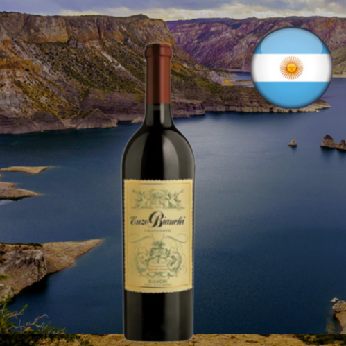 O vinho certo para cada momento