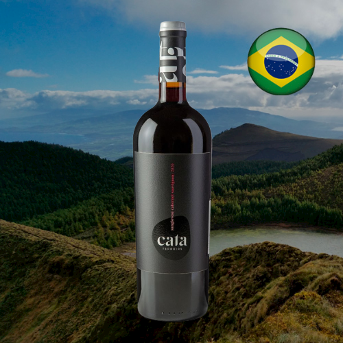 O vinho certo para cada momento