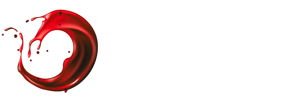 O vinho certo para cada momento