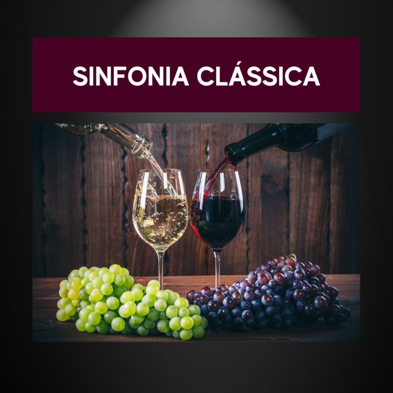 O vinho certo para cada momento