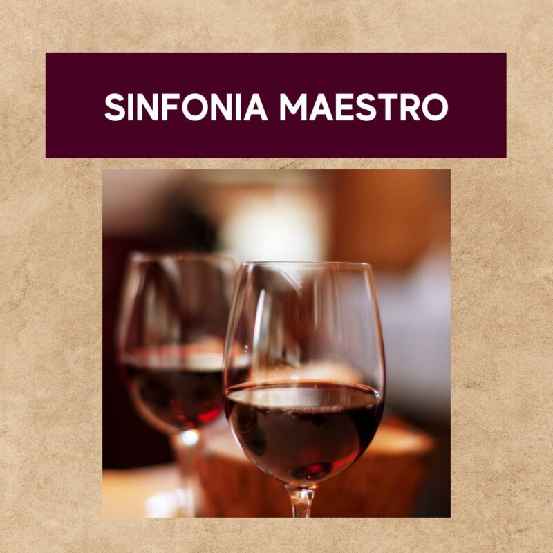 O vinho certo para cada momento