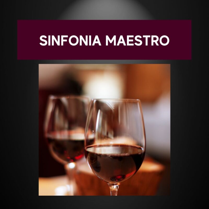 O vinho certo para cada momento