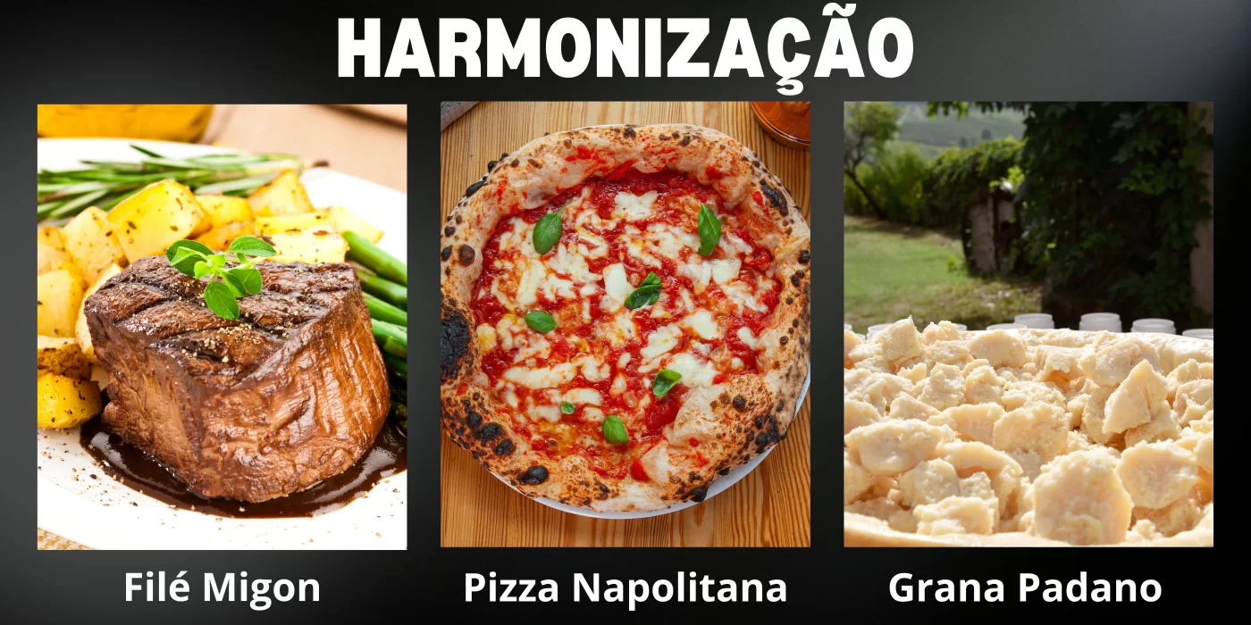 O vinho certo para cada momento