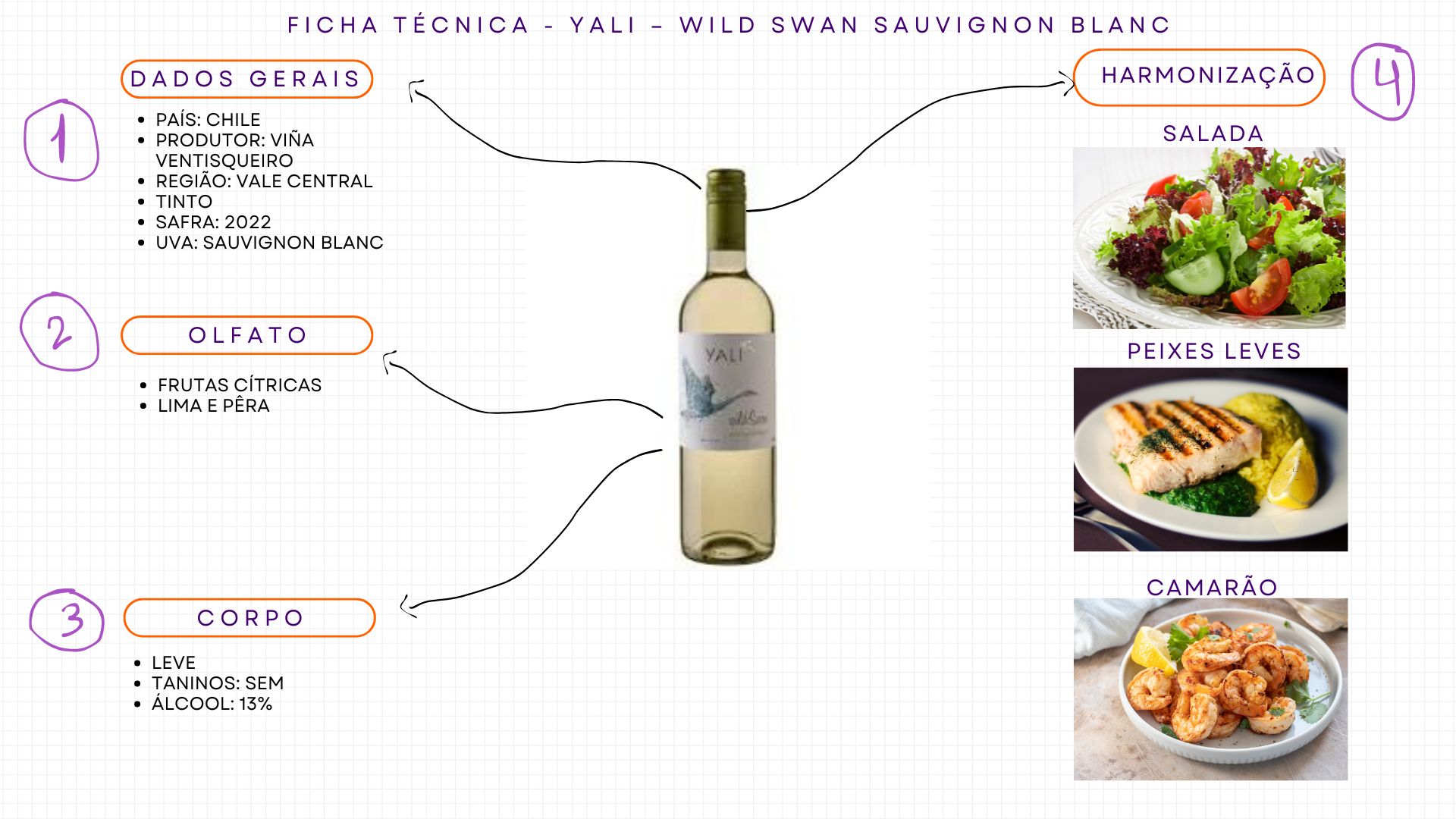 Ficha Técnica Sauvignon Blanc