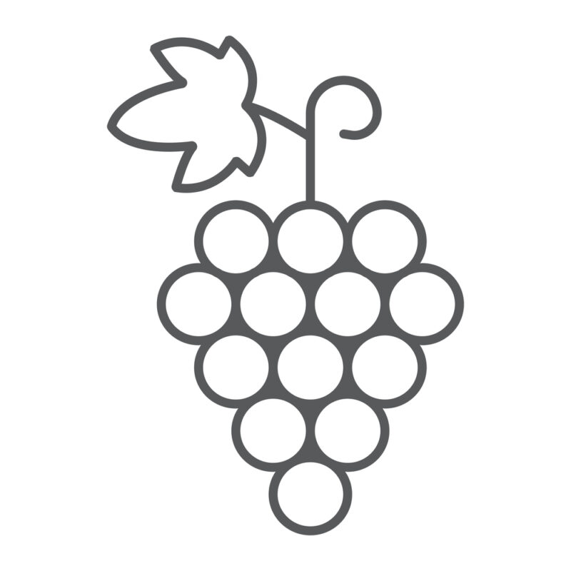 O vinho certo para cada momento