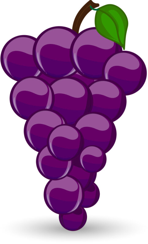 O vinho certo para cada momento