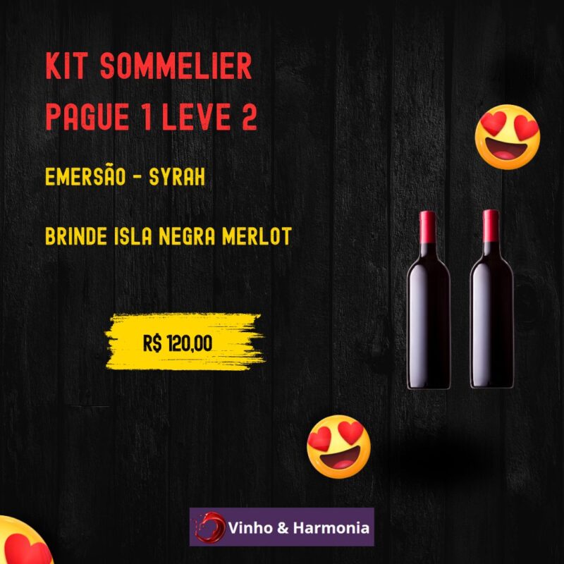 O vinho certo para cada momento