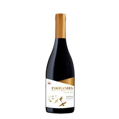 Paso Los Andes Pinot Noir