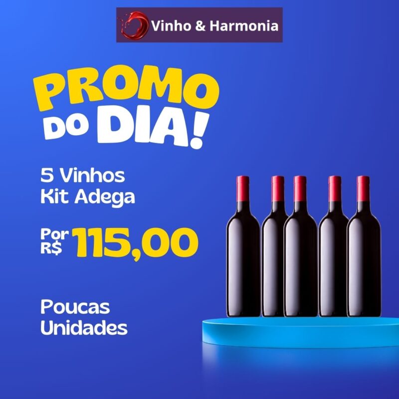 O vinho certo para cada momento