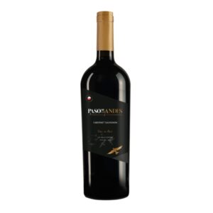 Paso de Los Andes Cabernet Sauvignon